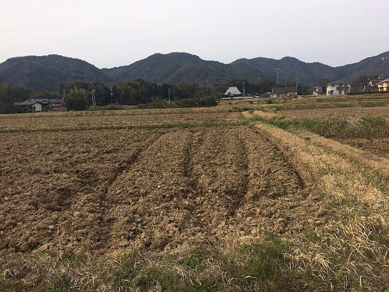 black_sample